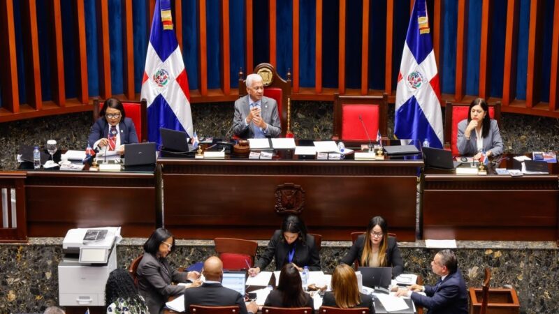 Senado Dominicano Aprueba Creación del Instituto Nacional de Custodia para Mujeres Víctimas de Violencia