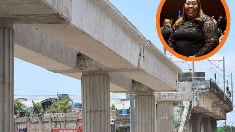 Diputada Dulce Rojas Alerta sobre Falta de Seguridad en Extensión del Metro hacia Villa Mella