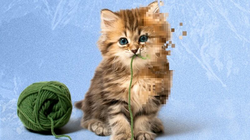 La Inteligencia Artificial y su Impacto en los Videos de Animales Adorables