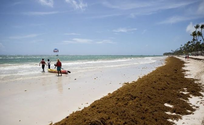 El Sargazo: Un Desafío Creciente para el Turismo en República Dominicana