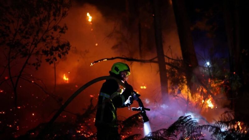 Incendios en España: Avances Positivos en una Situación Aún Compleja