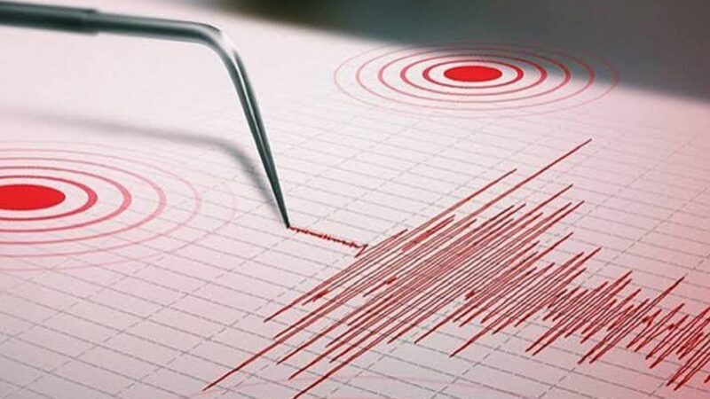 Fuerte Sismo de 7,4 Remueve el Sur de México sin Víctimas Reportadas