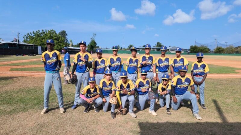 Equipos Dominicanos Avanzan a la Final del Torneo Internacional de Béisbol en Punta Cana