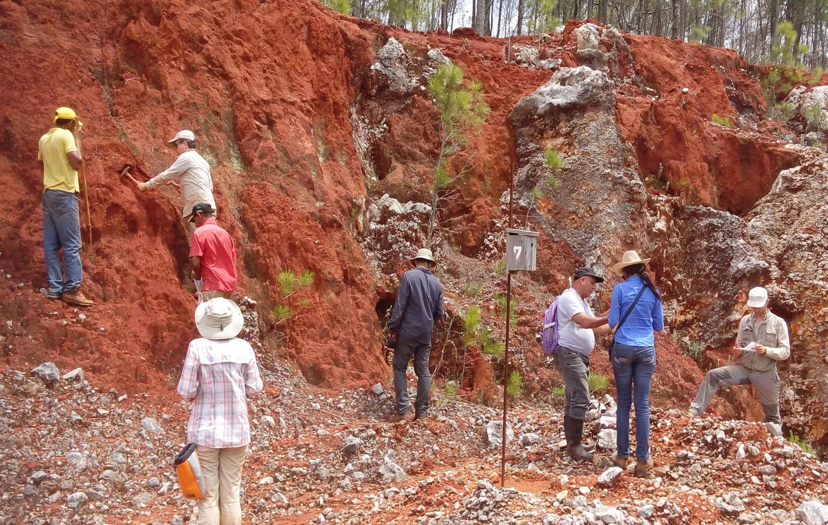 Proyecto de Tierras Raras en República Dominicana: Avances y Expectativas