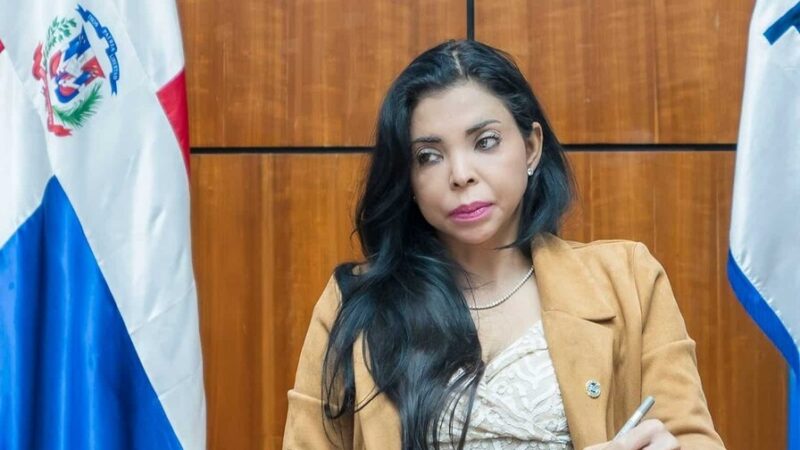 Yeni Berenice Asegura que Memes y Parodias No Son Delitos en el Nuevo Código Penal