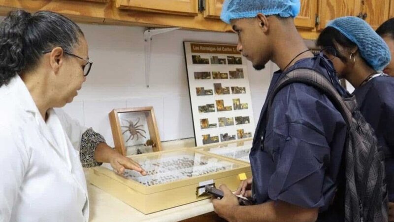 Investigaciones Universitarias: Un Vistazo a los Desafíos Reales de la República Dominicana