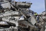 Antonio, el Perro Rescatado de los Escombros, Inspira Esperanza en Cali
