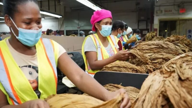 Plan Social impulsa capacitación y empleo para combatir la pobreza en RD