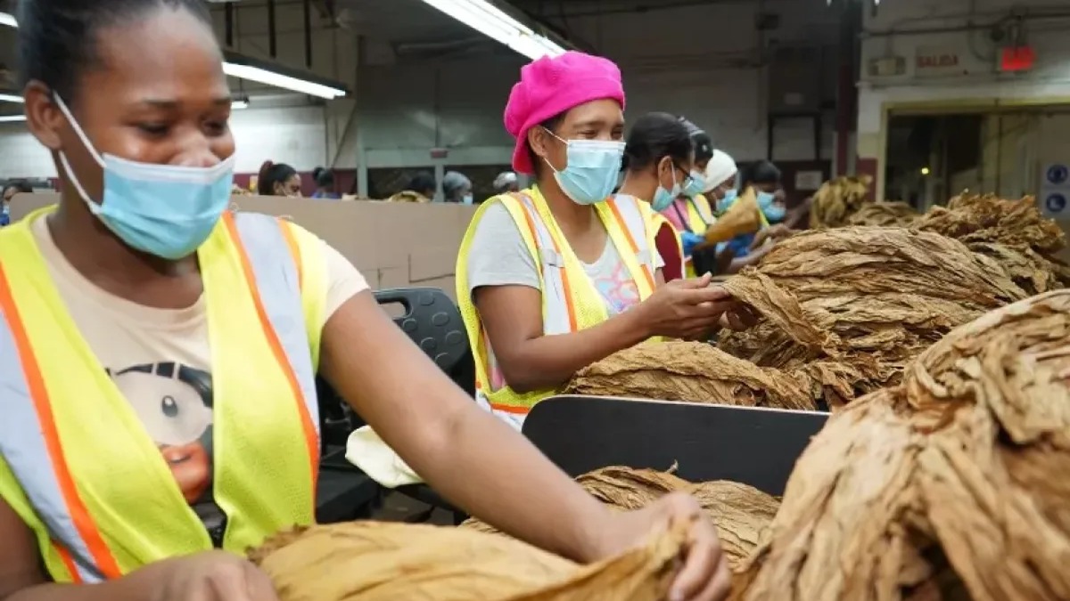 Plan Social impulsa capacitación y empleo para combatir la pobreza en RD