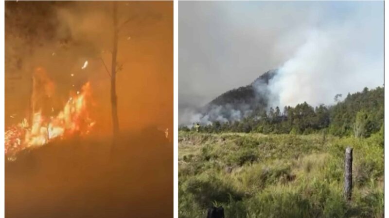 Incendio Forestal Amenaza el Parque Nacional Valle Nuevo