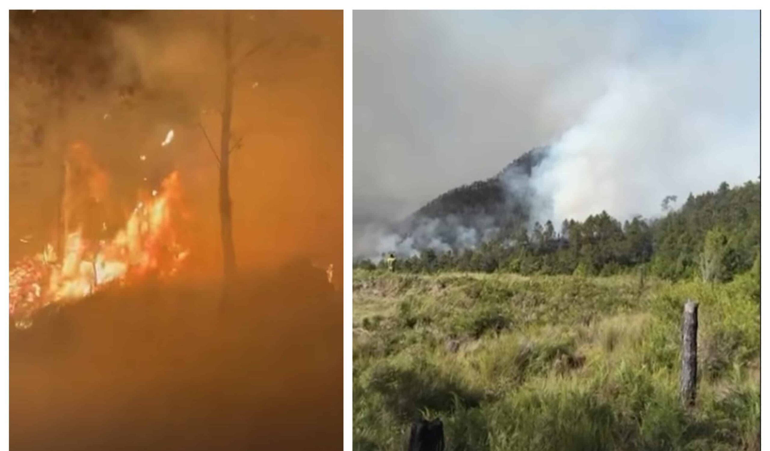 Incendio Forestal Amenaza el Parque Nacional Valle Nuevo