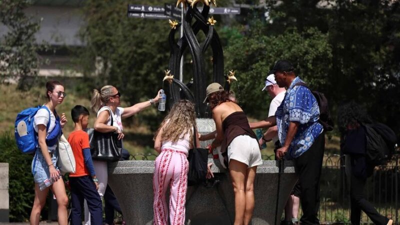 El Niño y las Olas de Calor: Un Desafío Global en Aumento