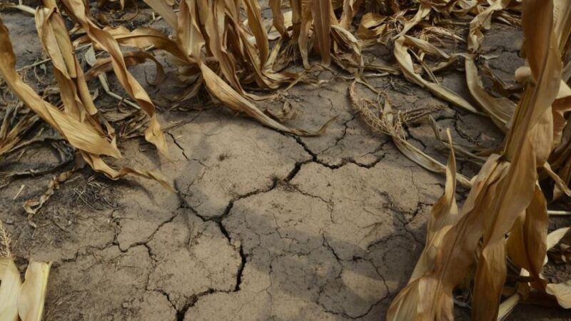 Puerto Rico Enfrenta una de las Peores Sequías de la Década