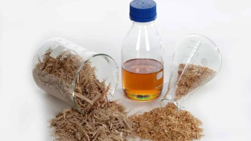 República Dominicana Lidera el Mercado Mundial del Furfural