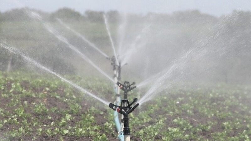 Impacto de la Sequía en la Agricultura Dominicana y Medidas de Racionamiento