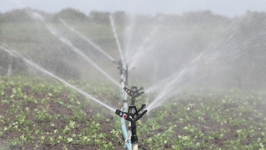 Impacto de la Sequía en la Agricultura Dominicana y Medidas de Racionamiento