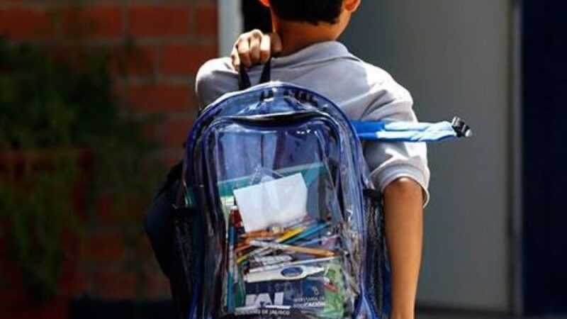 Estrategias Más Allá de las Mochilas Transparentes para Combatir la Violencia Escolar