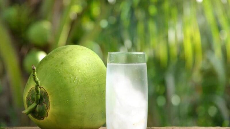 El Agua de Coco: Una Tendencia en Crecimiento en República Dominicana