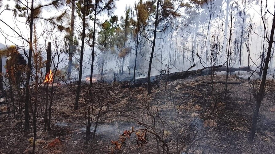 Brigadistas Intensifican Esfuerzos para Controlar Incendio en Valle Nuevo