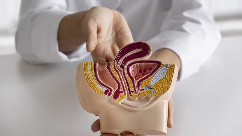 Innovadoras Tecnologías Mejoran Tratamiento del Cáncer Urológico