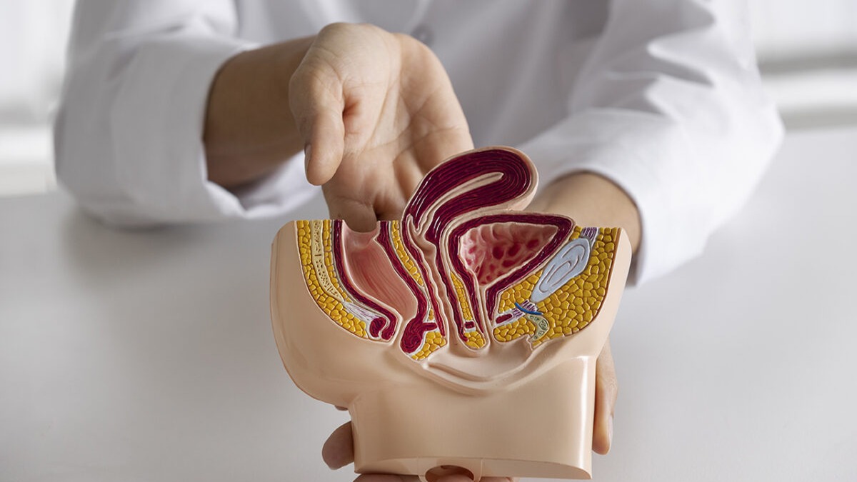 Innovadoras Tecnologías Mejoran Tratamiento del Cáncer Urológico