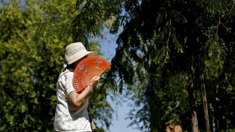 Salud Pública Advierte sobre Precauciones ante el Intenso Calor