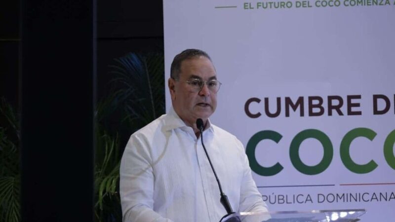 Desafíos Generacionales y Financieros Amenazan la Industria del Coco en República Dominicana