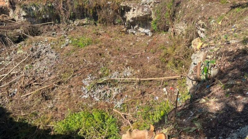 Comunitarios Exigen Detener Destrucción de Zona Protegida en Las Américas