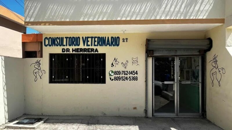 Preocupante Aumento de Casos de Sarna en Barahona: Claves para su Prevención