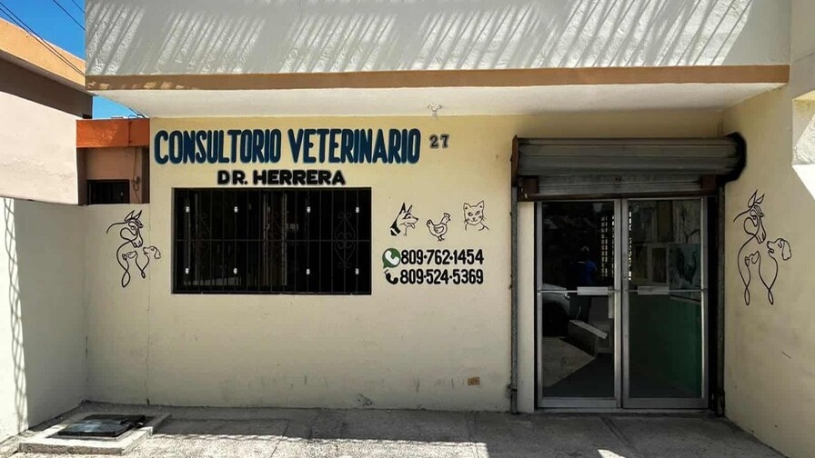 Preocupante Aumento de Casos de Sarna en Barahona: Claves para su Prevención