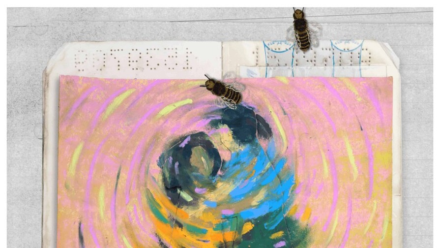 Película Dominicana ‘Donde duermen las abejas’ Triunfa en Róterdam