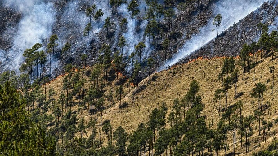 Parque Nacional Valle Nuevo Cierra Temporalmente por Incendio Forestal