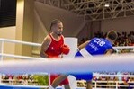 Boxeo Dominicano Brilla con Siete Medallas de Oro en Juegos Centroamericanos