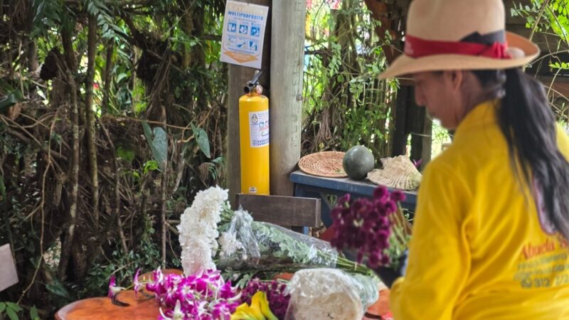 La Tradición de las Silletas: Un Espectáculo Floral en Medellín