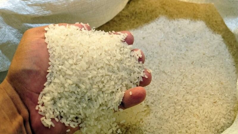 Futuro del Arroz Dominicano en la Encrucijada Comercial