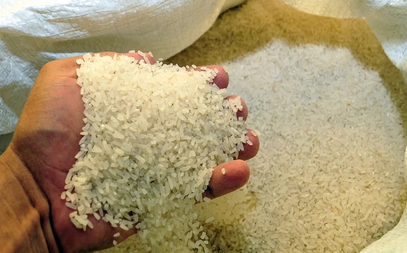 Futuro del Arroz Dominicano en la Encrucijada Comercial