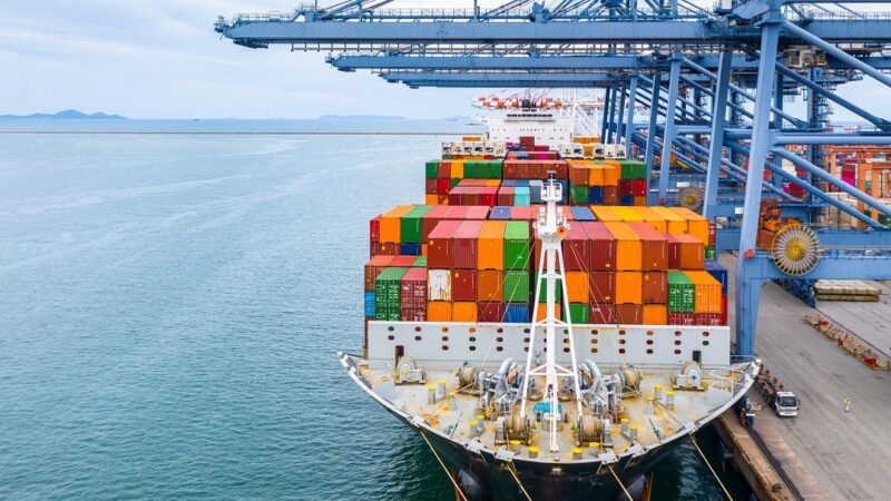 República Dominicana Impulsa Exportación de Coco Seco a 16 Mercados Internacionales