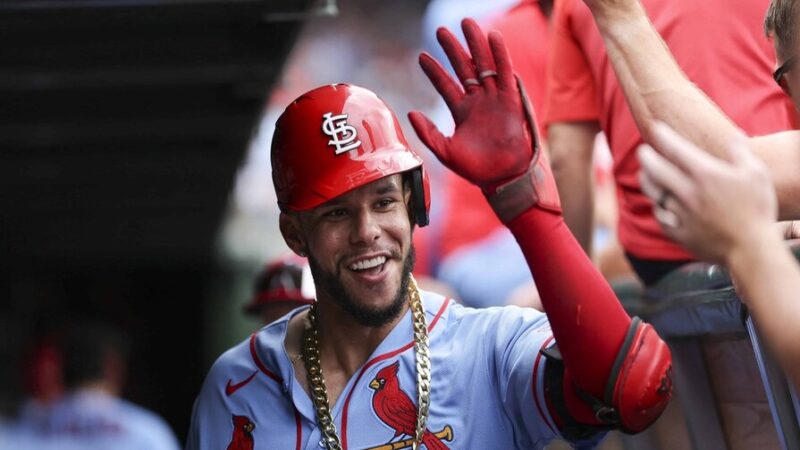 Joshua Báez: De Santo Domingo a las Grandes Ligas con el Escogido