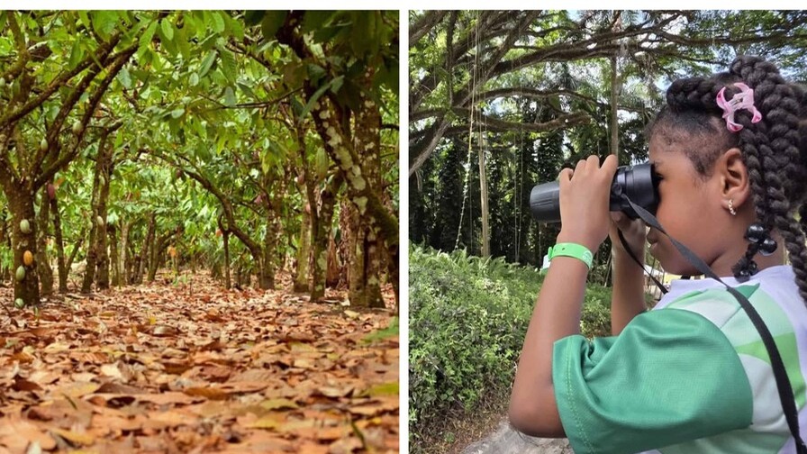 Escapadas Familiares para Despedir el Verano en República Dominicana
