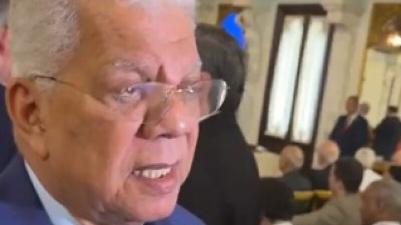 Historiadores Abogan por Diálogo Nacional sobre el Legado de Pedro Santana