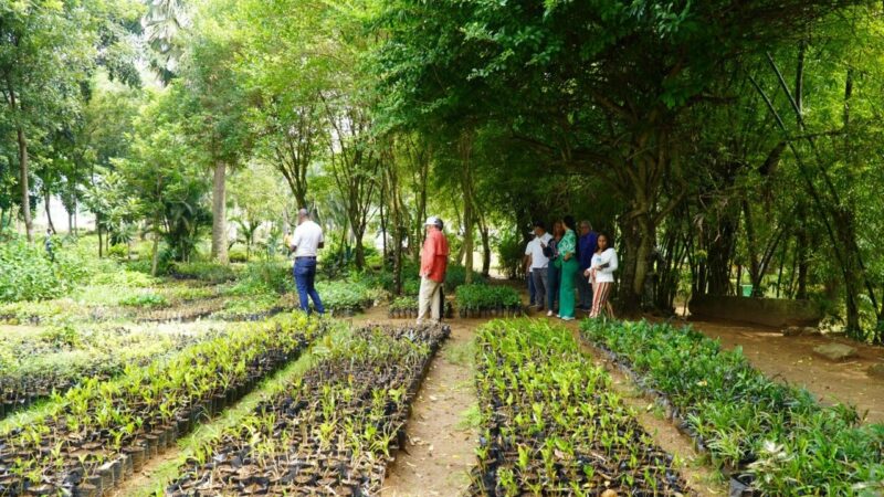 Digecac Anuncia el Primer Festival de Plantas 2026 en Santo Domingo