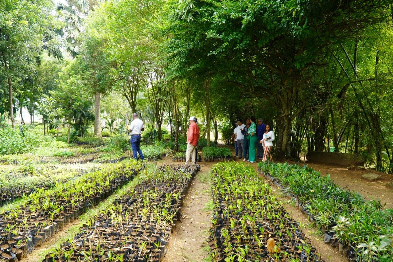 Digecac Anuncia el Primer Festival de Plantas 2026 en Santo Domingo