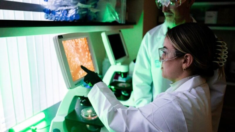 Inteligencia Artificial: Aliada en la Lucha contra el Calor Extremo