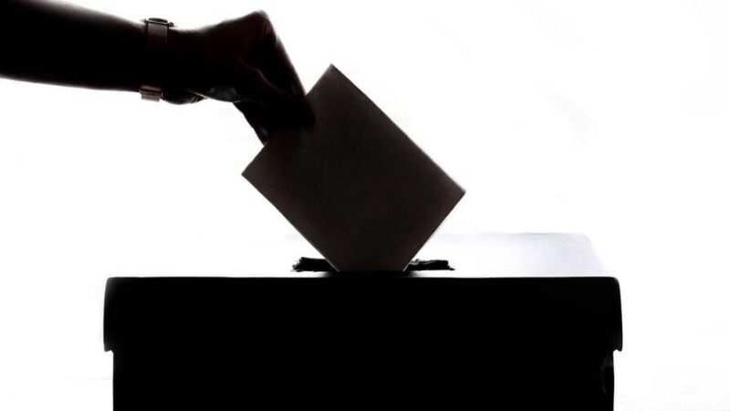 La Vulnerabilidad Emocional de Nuestra Democracia