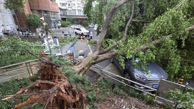 Tifón Dolphin Provoca Evacuación Masiva y Lluvias Históricas en China