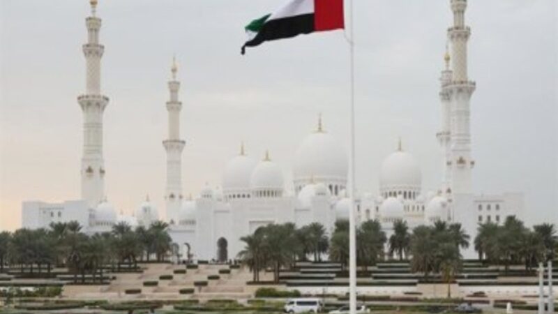 Emiratos Árabes Unidos Suspende Comercio con Irán tras Ataques
