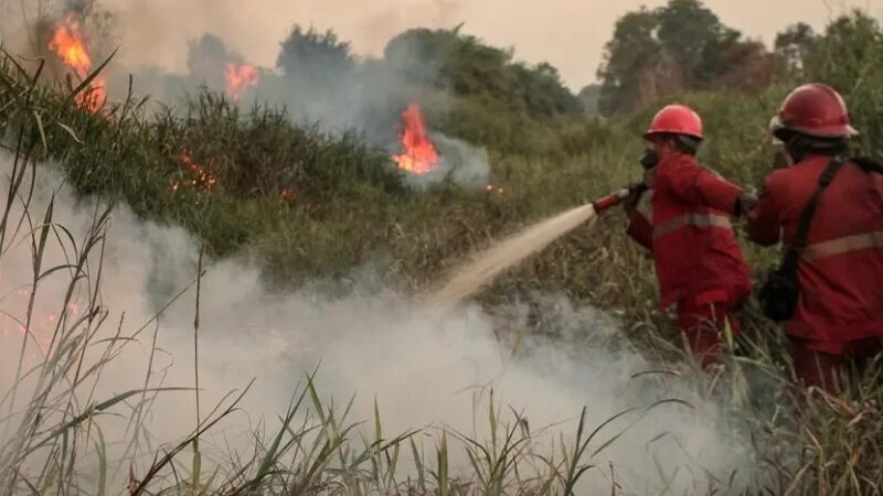 El Niño: Posible Fenómeno Climático Más Intenso Jamás Registrado