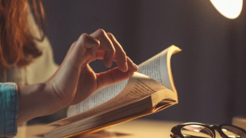 24 de Agosto: ¿Realmente es el Día del Lector?