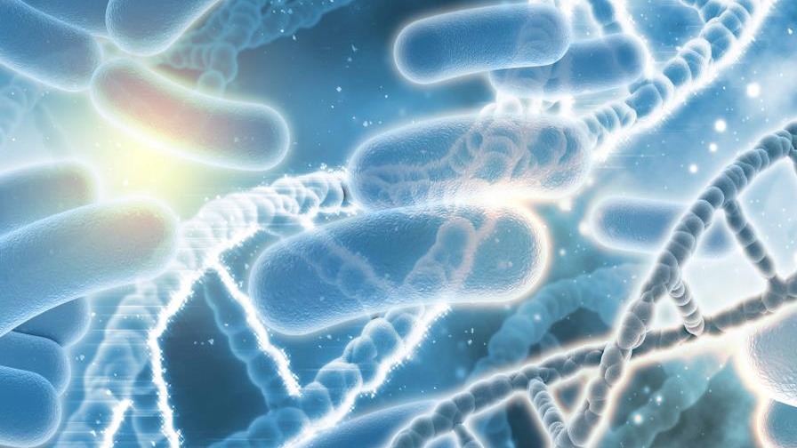 Innovación con IA: Virus Sintéticos para Combatir Bacterias Resistentes