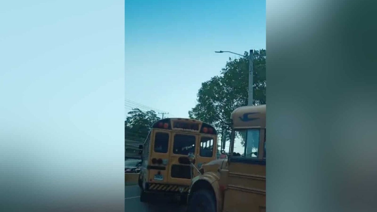 Demandan Control de Autobuses que Infringen Normas en San Isidro